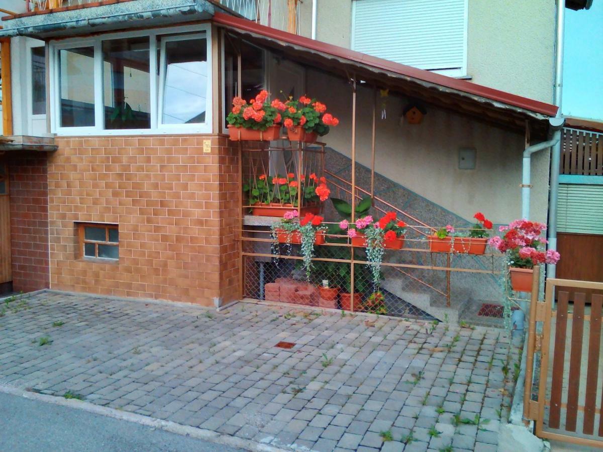 Apartment Janja Vojnik Ngoại thất bức ảnh