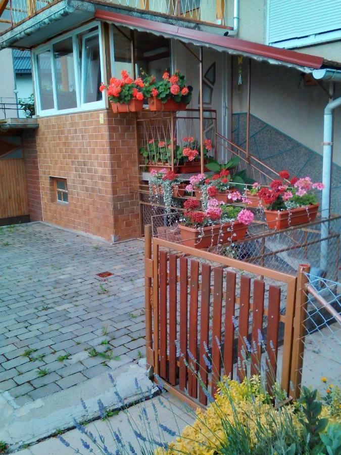 Apartment Janja Vojnik Ngoại thất bức ảnh