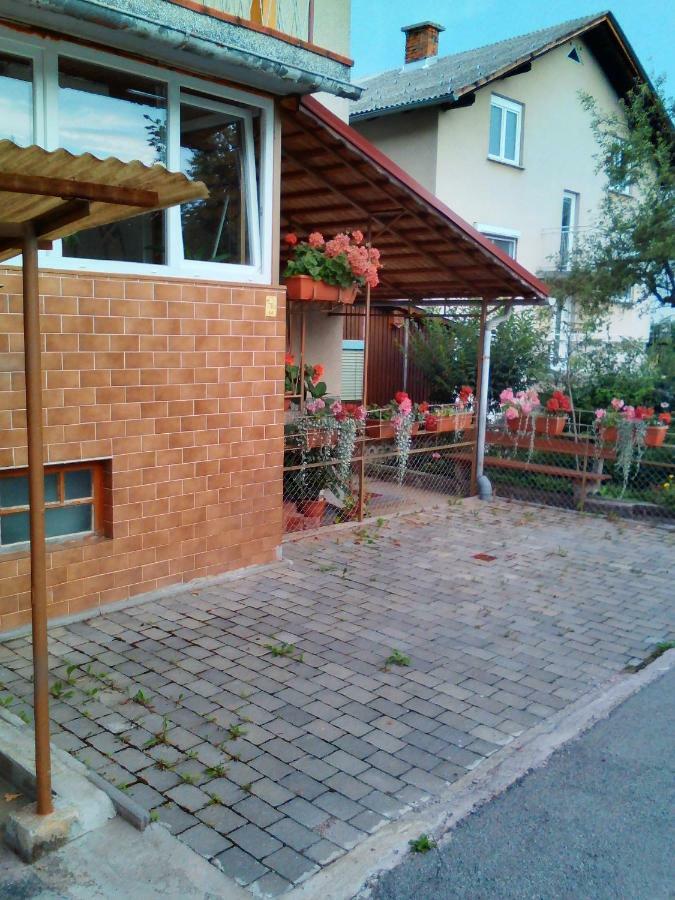 Apartment Janja Vojnik Ngoại thất bức ảnh