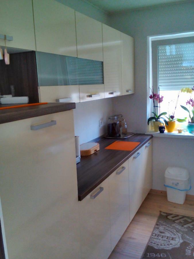 Apartment Janja Vojnik Ngoại thất bức ảnh