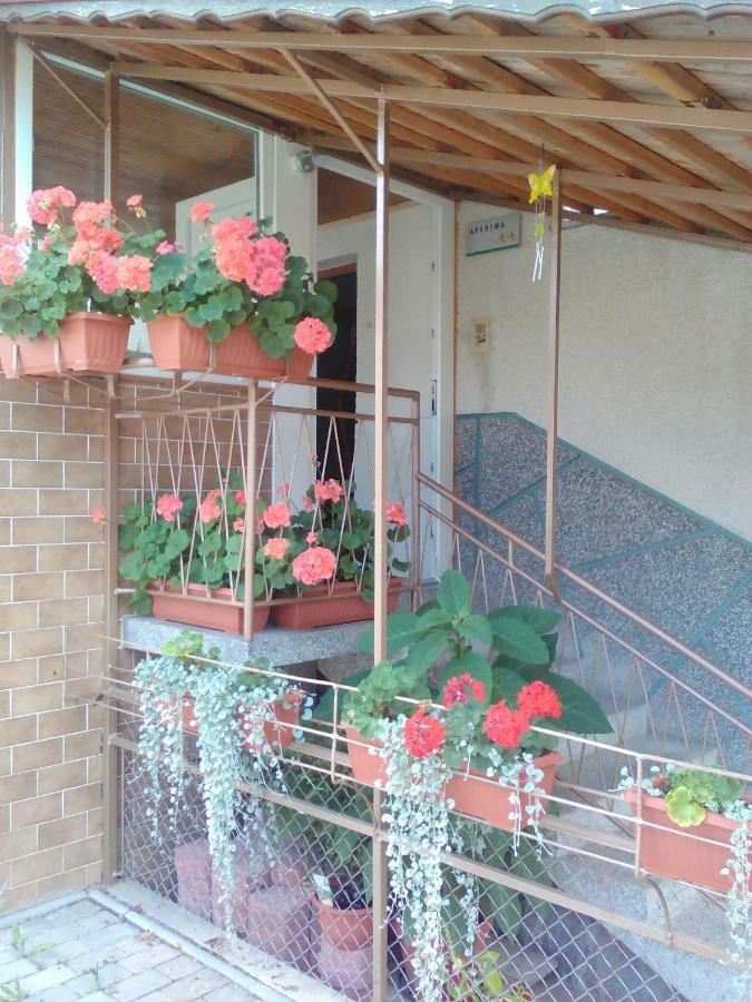 Apartment Janja Vojnik Ngoại thất bức ảnh